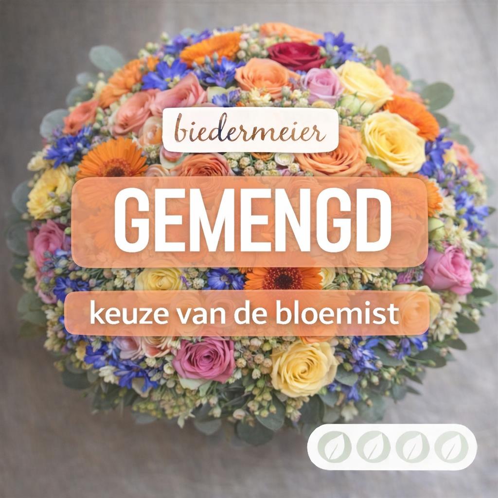 02_kvdb024__1.jpg
