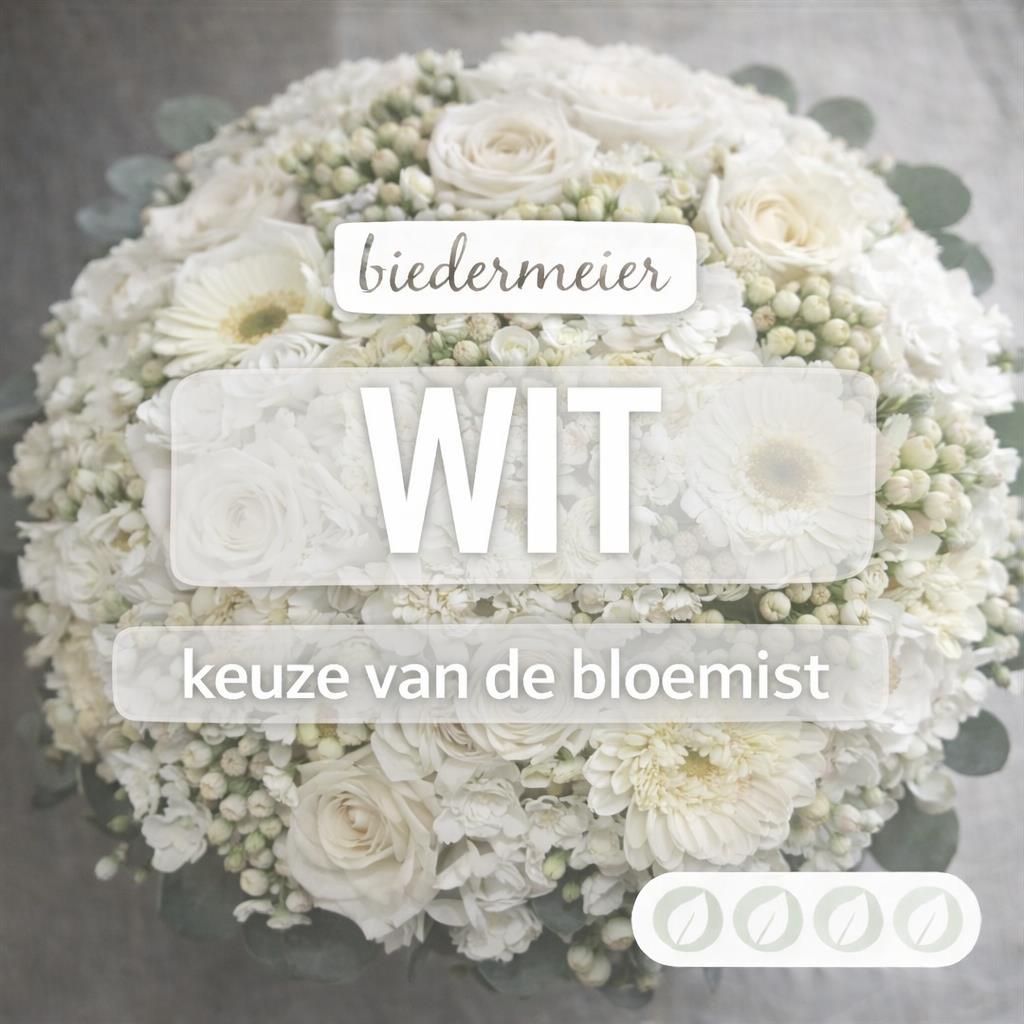 02_kvdb026__1.jpg