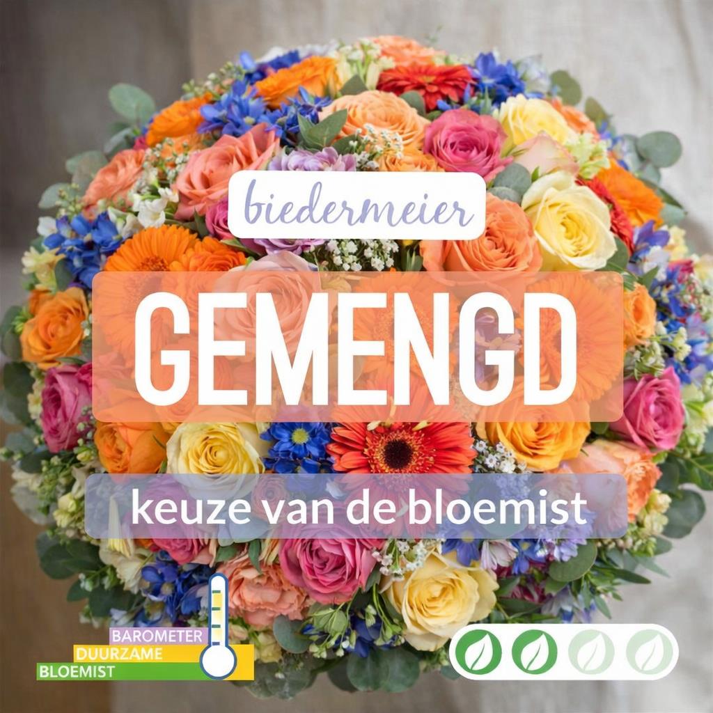 02_kvdb032__1.jpg