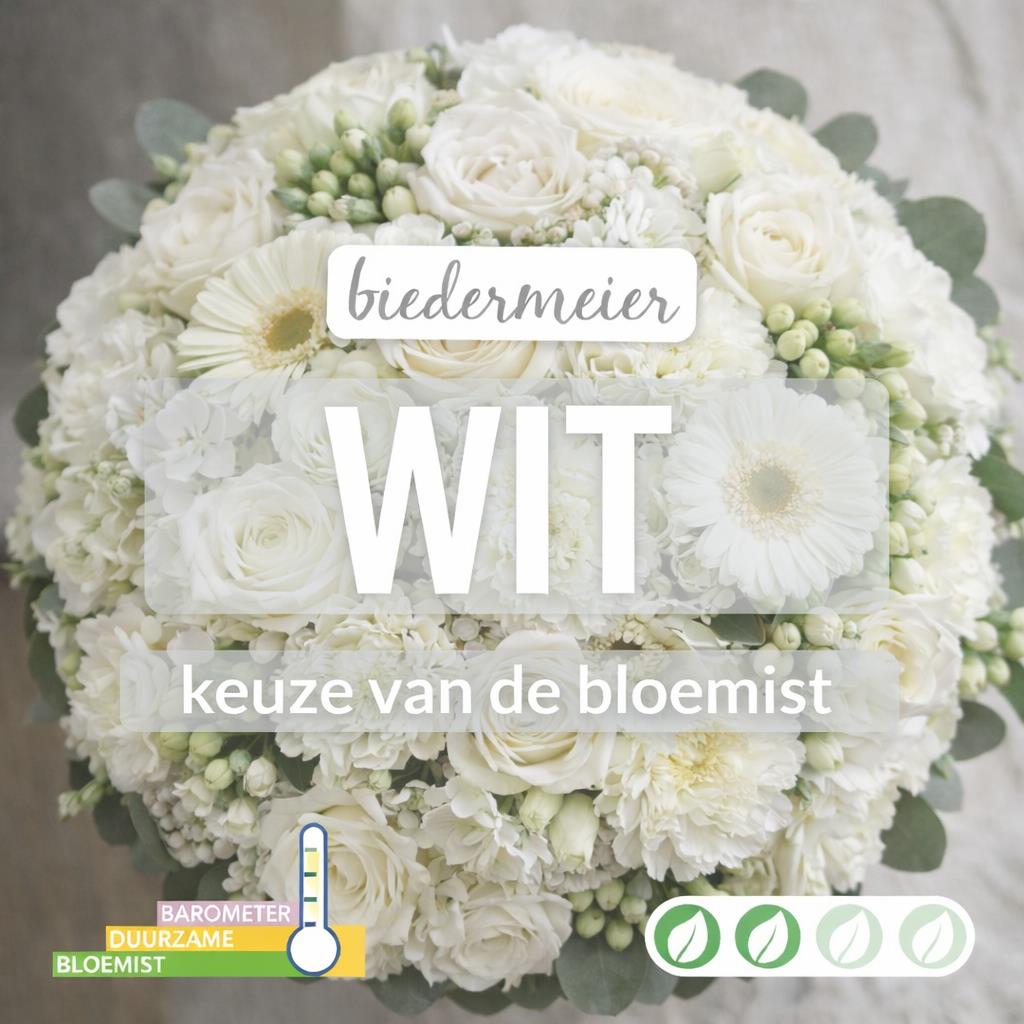 02_kvdb034__1.jpg