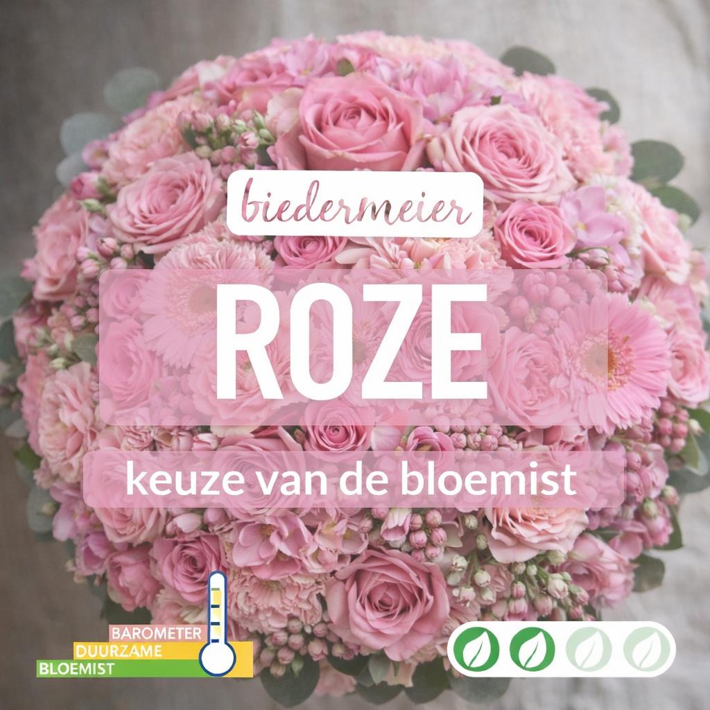 02_kvdb035__1.jpg