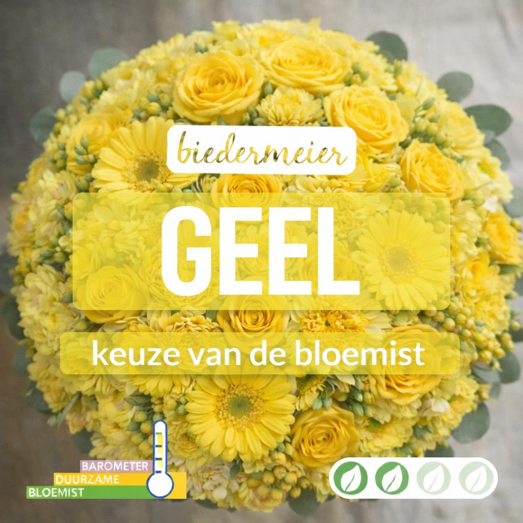 02_kvdb039__1.jpg