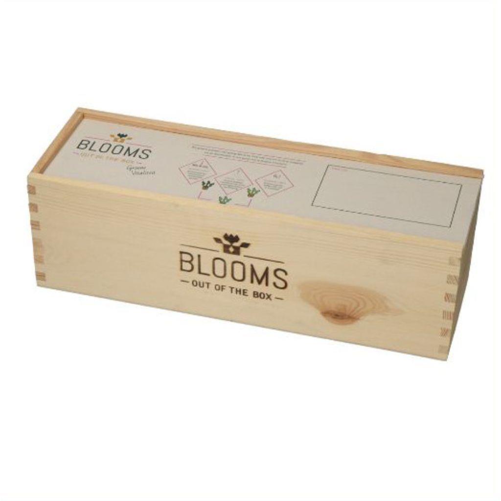 bloomsb_22__2.jpg