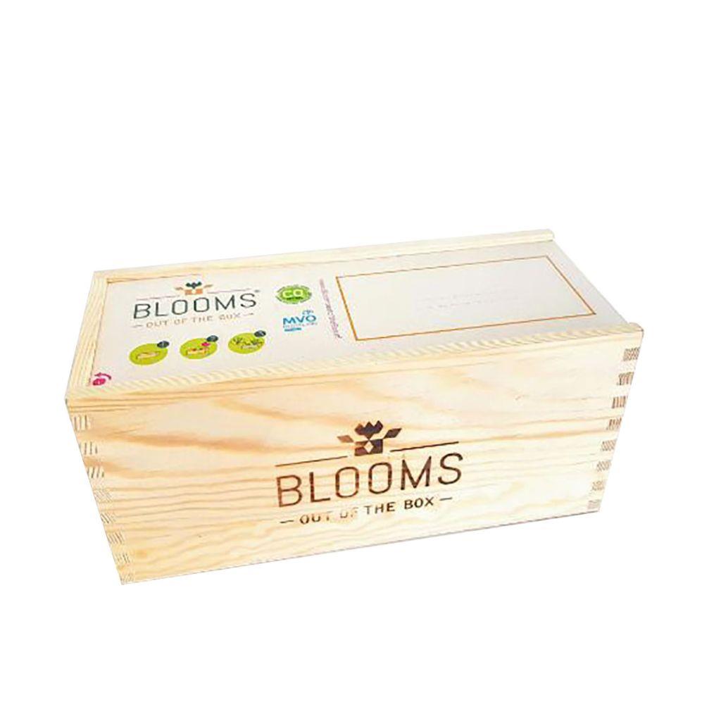 bloomsb_302__2.jpg