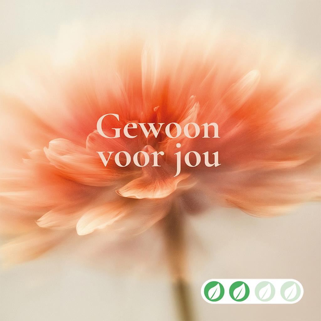 pwk08ov09neu000__1.jpg