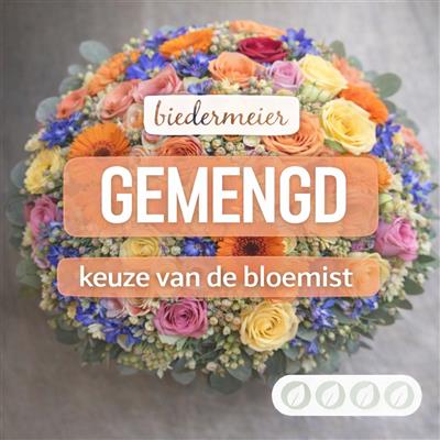 02_kvdb024__1.jpg