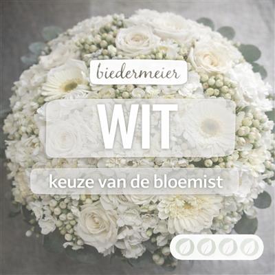 02_kvdb026__1.jpg