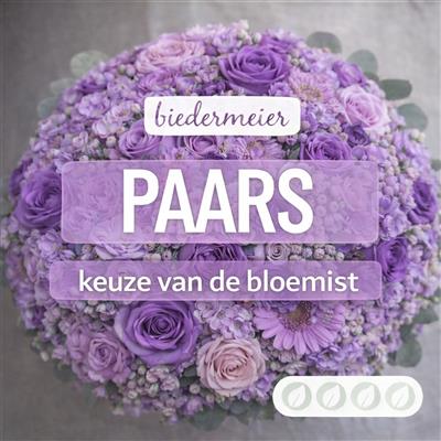 02_kvdb028__1.jpg