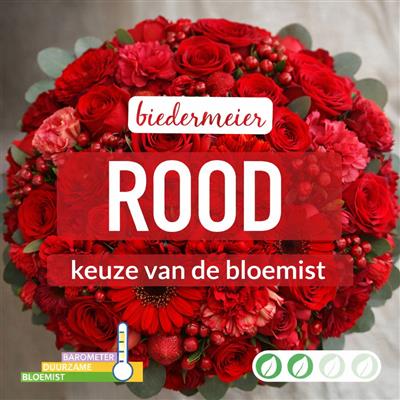 02_kvdb033__1.jpg