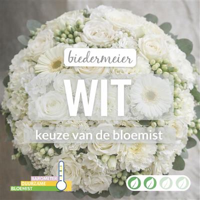 02_kvdb034__1.jpg