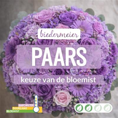 02_kvdb036__1.jpg