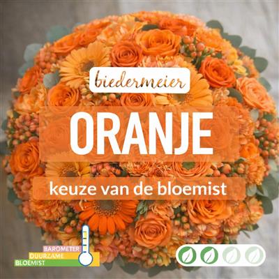 02_kvdb038__1.jpg