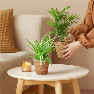 kpl_efp-035__4.png