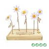 bloomsb_005_hb__1.jpg
