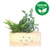 bloomsb_302__1.jpg