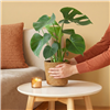 kpl_efp-014__4.png