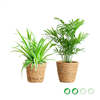 kpl_efp-035__1.png